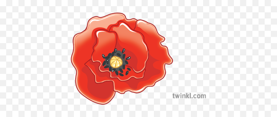 Newsroom Emoji Remembrance Day Poppy Ks2 Illustration - Twinkl Poppy Flower Poppy Emoji Png,Transparent Flower Emoji