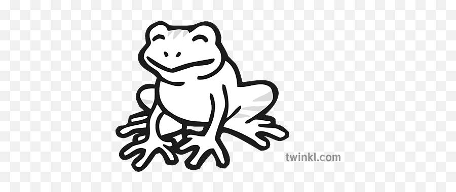 Frog Icon Black And White Illustration - Frog Icon White Black Png,Frog Icon Png