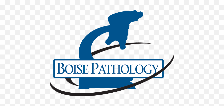 Contact Boise Pathology Group - Language Png,St. Luke Icon