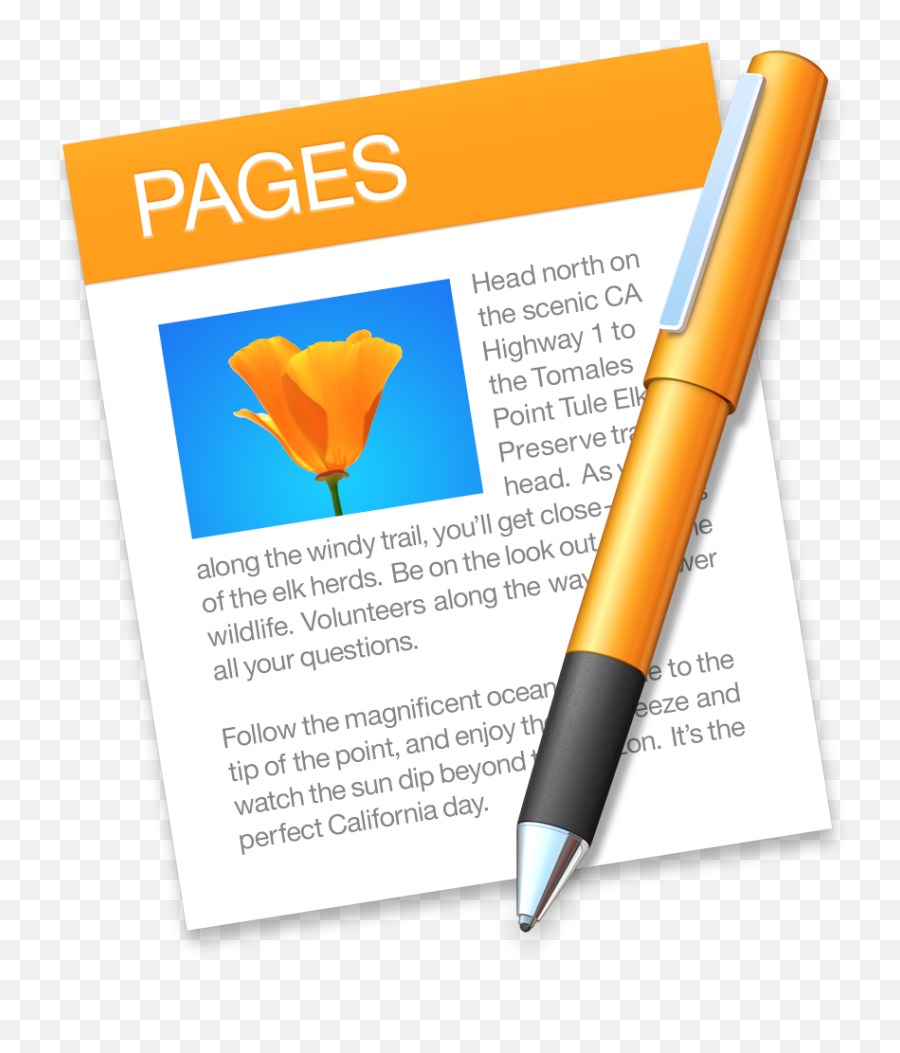 Pages ios. Pages приложение. Apple IWORK Pages. Pages иконка. Apple IWORK Pages логотип.