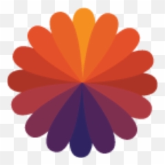 South Asia - Printable Colorful Flower Design Png,Nyu Icon