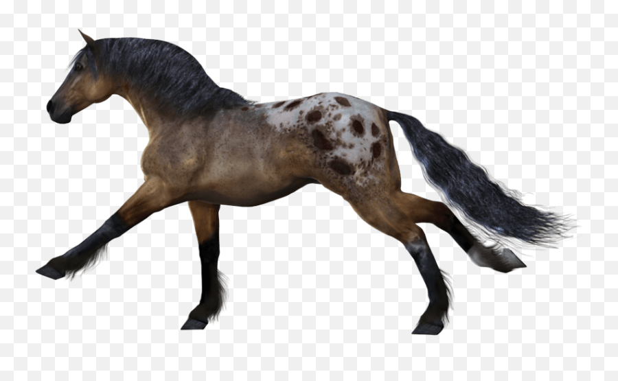 White Horse Png Image Download Picture - Transparent Background Horses Png,White Horse Png