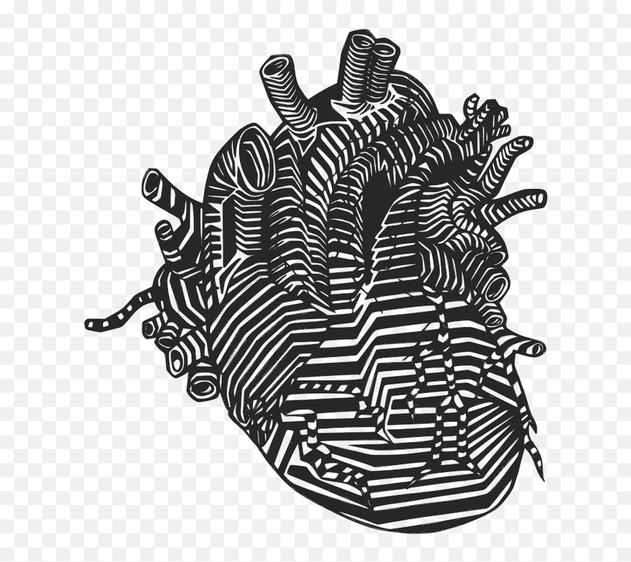 Heart Veins Arteries - Free Vector Graphic On Pixabay Real Heart Vector Png,Heart Doodle Png