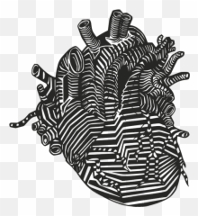 Heart Veins Arteries - Free vector graphic on Pixabay Real Vector Png