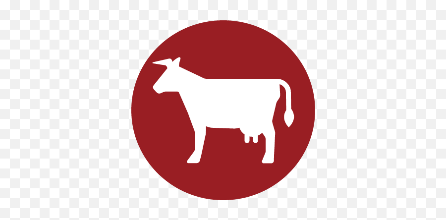 Flagler Coop Association - Homepage Animal Figure Png,Minecraft Beef Icon