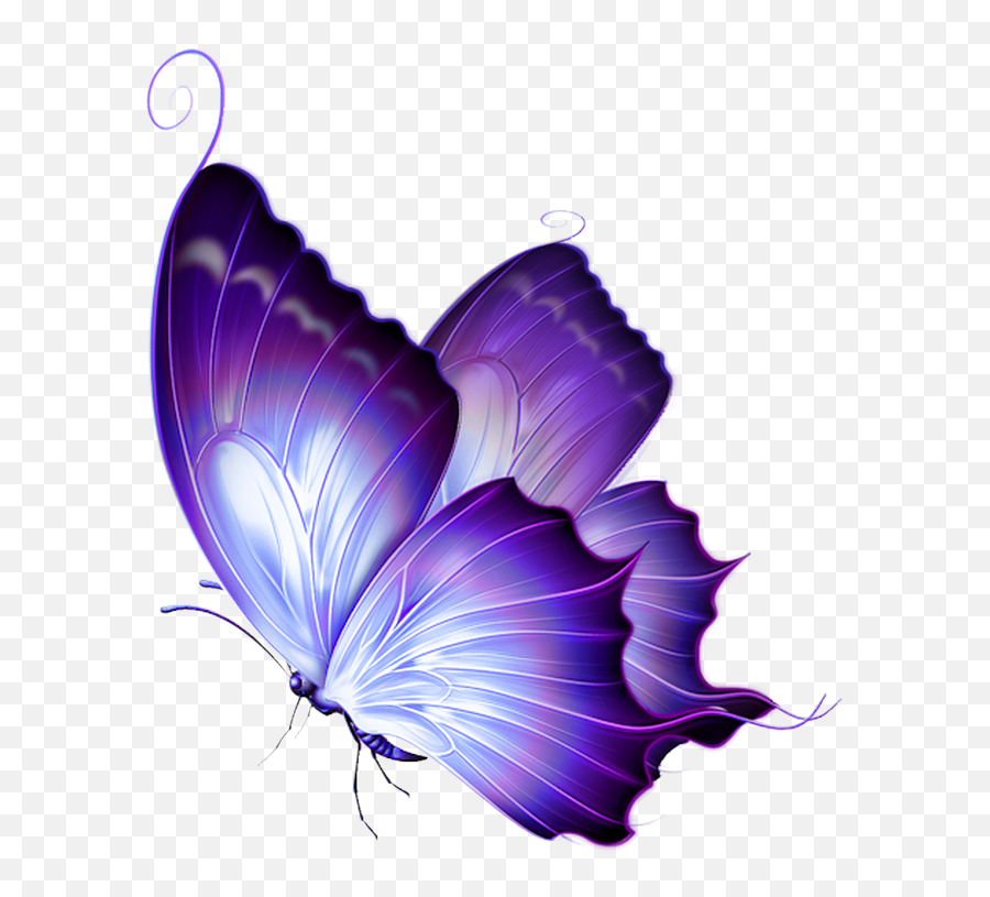 Pin - Yellow And Purple Butterfly Png,Butterfly Tattoo Png