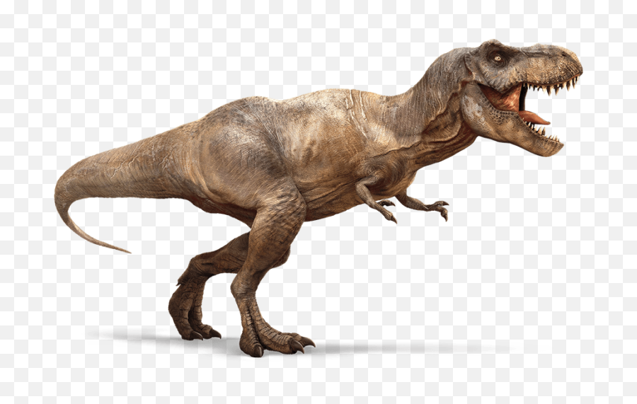 T - T Rex Png,Tyrannosaurus Rex Png