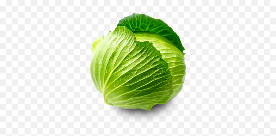 Download Cabbage Png Clipart - Cabbage Leaf,Cabbage Png