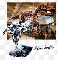 Outosego Silver Surfer And Big Chicken Png