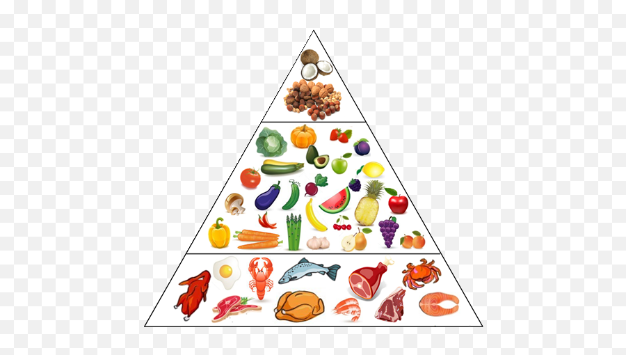 Paleo Diet For Beginners - Healthy Eating Pyramid Transparent Png,Food Pyramid Png