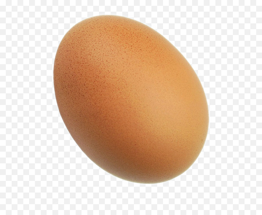 Big Bird Egg Png Download - Bird Egg Png,Egg Png