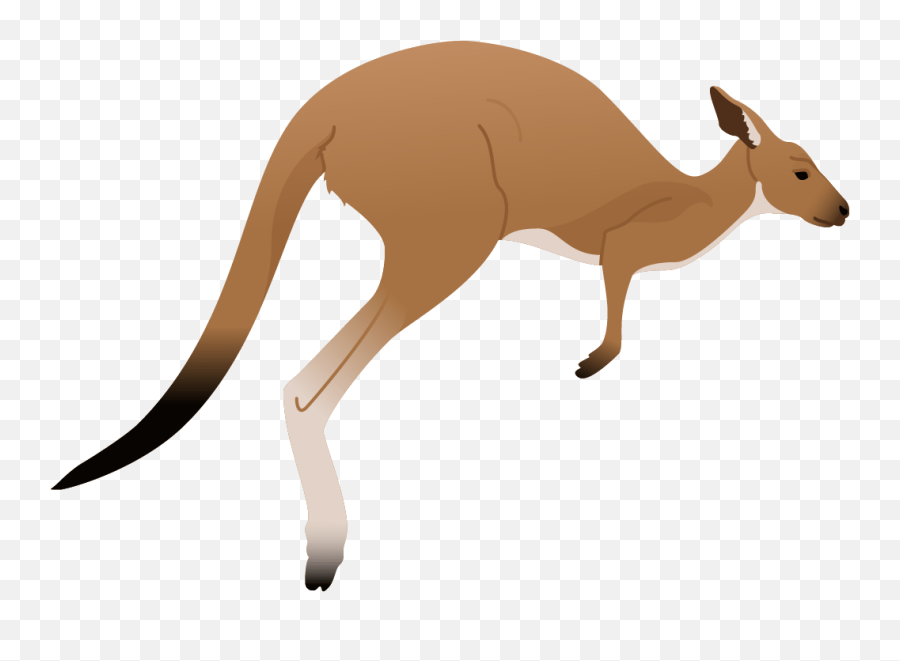 Kangaroo Clipart Png - Kangaroo Transparent Cartoon Jingfm Clip Art Kangaroo Png,Kangaroo Png