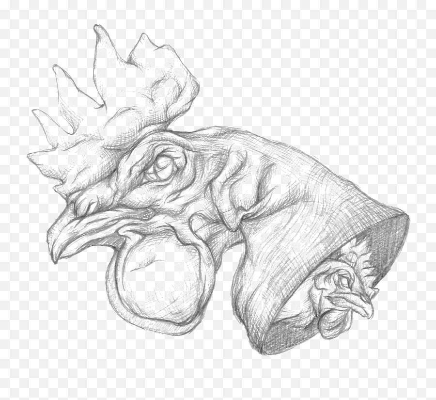 Download Chicken Head Bw - Sketch Png,Chicken Head Png