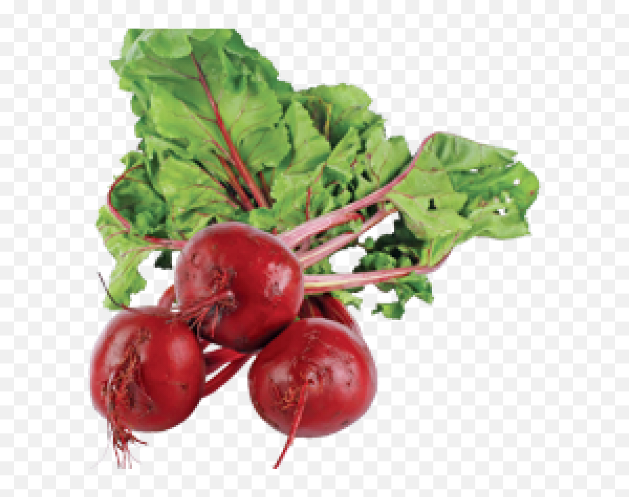 Beet Pick It Try Like Preserve - Red Vegetable That Grows Underground Png,Beet Png
