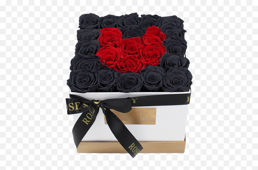 Red - Black Eternity Roses Medium White Square Box Rosesuay Garden Roses Png,Square Box Png