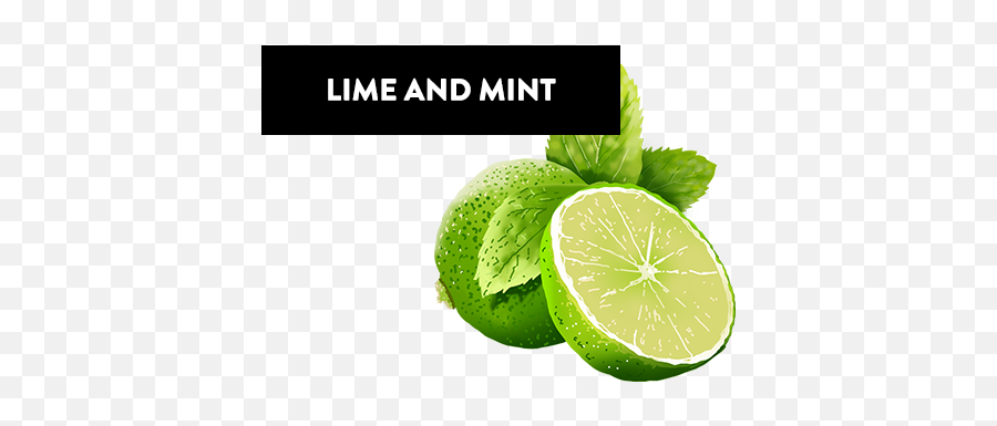 Index Of Wp - Contentthemesvkimagesflavour Persian Lime Png,Lime Png
