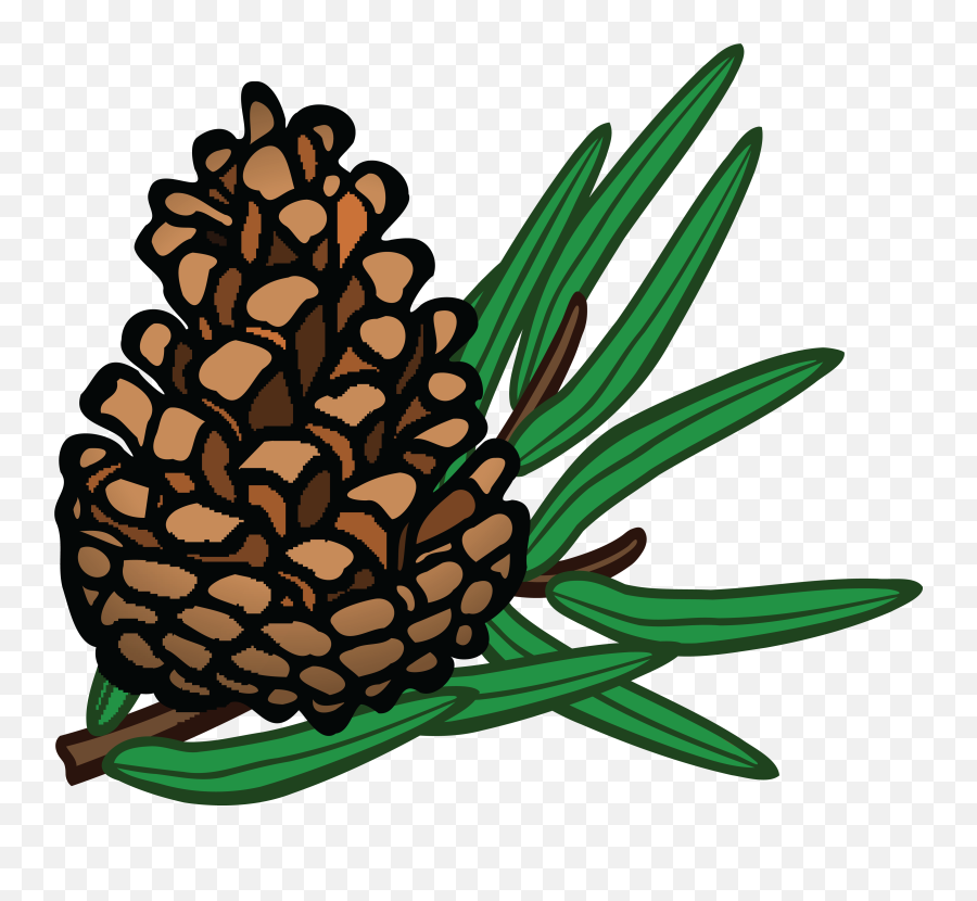 Pinecone Png - Free Clipart Of A Pinecone Pine Cone Pine Pine Cone Pine Clipart,Pine Cone Png