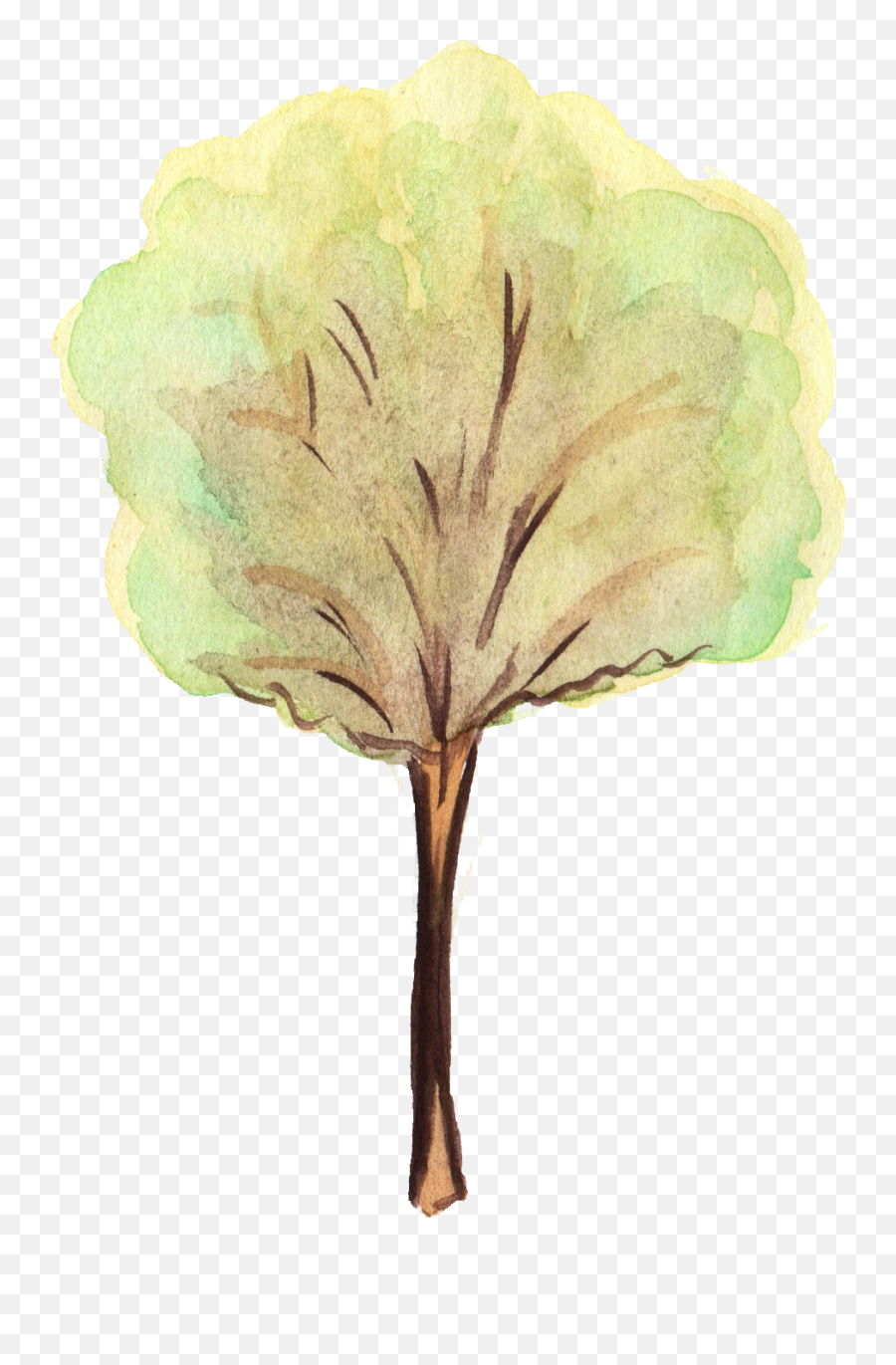 12 Watercolor Tree Transparent - Trees Water Color Png,Watercolor Tree Png