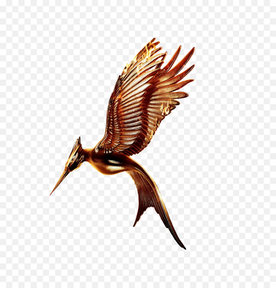 Best 15 Catching Fire Movie Logo Transparent Without Ring By - Hunger Games Mockingjay Bird Png,Fire Transparent Background
