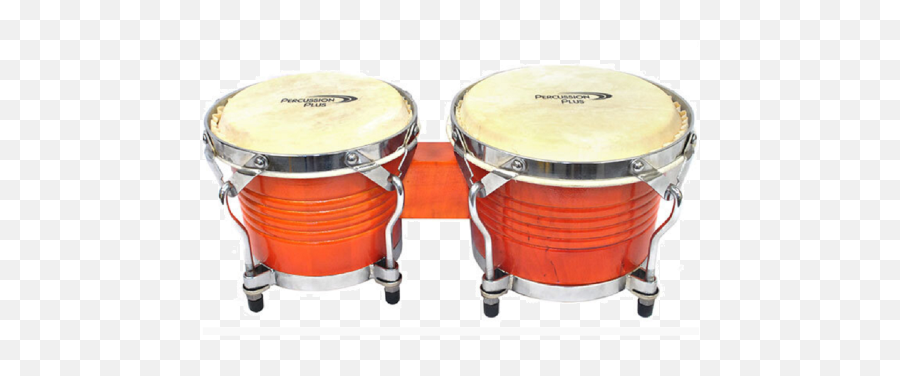 Bongos U0026 Congas Adelaide Cecereu0027s Music - Instruments Bongo Drum Png,Congas Png
