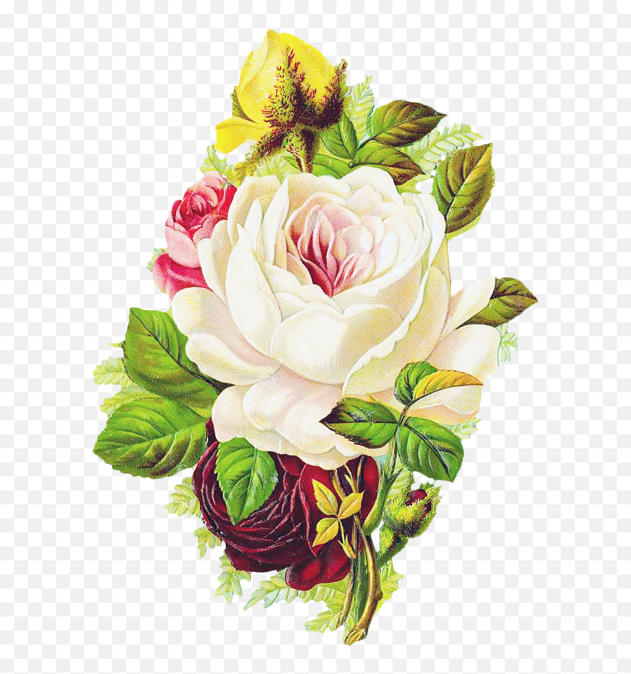 Free Vintage Rose - Beautiful Vintage Floral Art Sticker Good Morning Paper Flowers Png,Vintage Floral Png