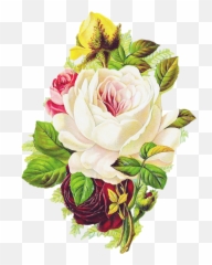 Free Vintage Rose - Beautiful Floral Art Sticker Good Morning Paper Flowers png