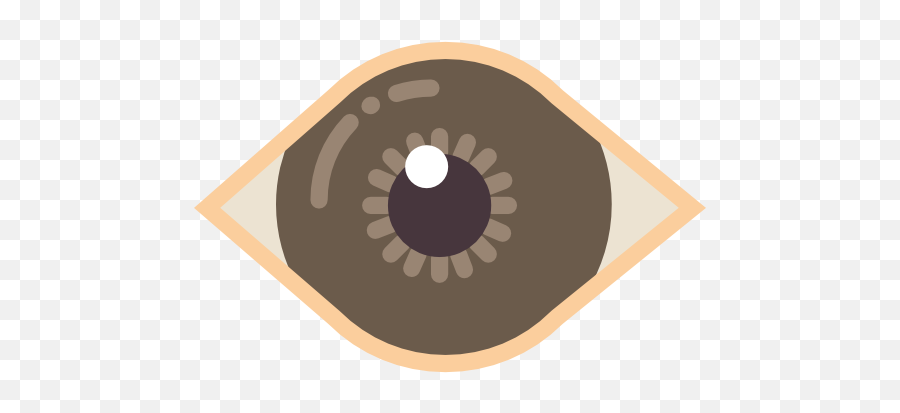 Index Of Imagesflaticon - Pngmedicalbig Flat Eye Icon Png,Iris Png