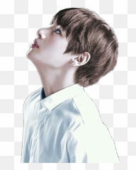 Kim Taehyung - Taehyung Blood Sweat And Tears Png,Kim Taehyung Png