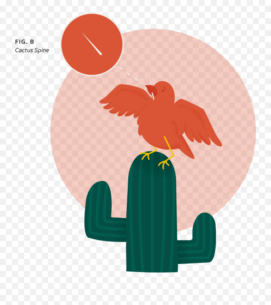 Cactus Png Tumblr - Saguaro,Tumblr Cactus Png