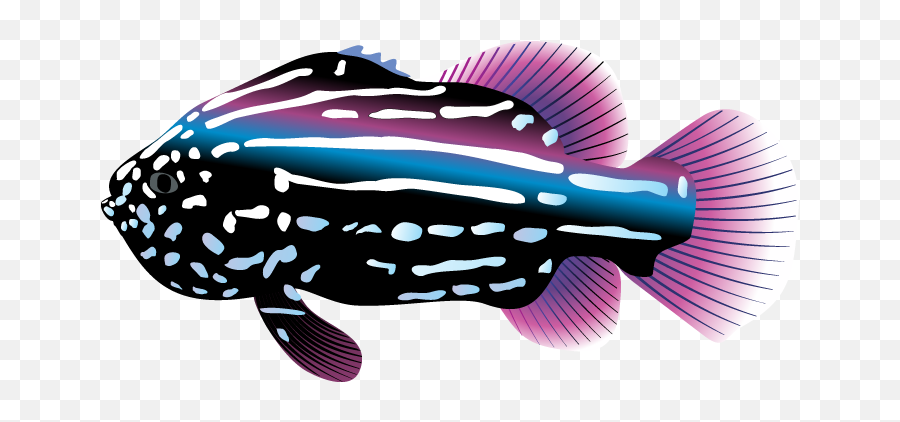 Tropical Fish Clipart Png Image - Clipart Tropical Fish,Ocean Clipart Png
