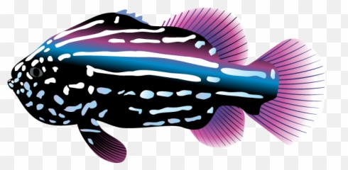 Tropical Fish Clipart Png Image - Clipart Tropical Fish,Ocean Clipart Png