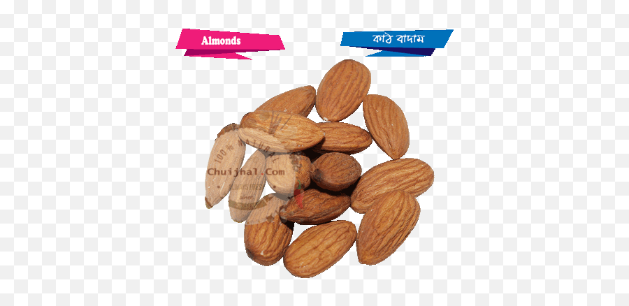 Download Almonds Kath Badam 3 - Almond Full Size Png Image Almond,Almonds Png