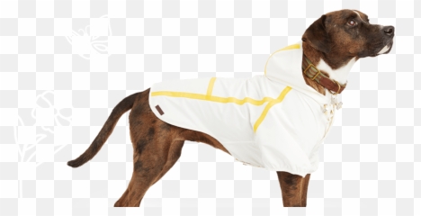 Pet Supplies Food And Products Petco - Dog Clothes png