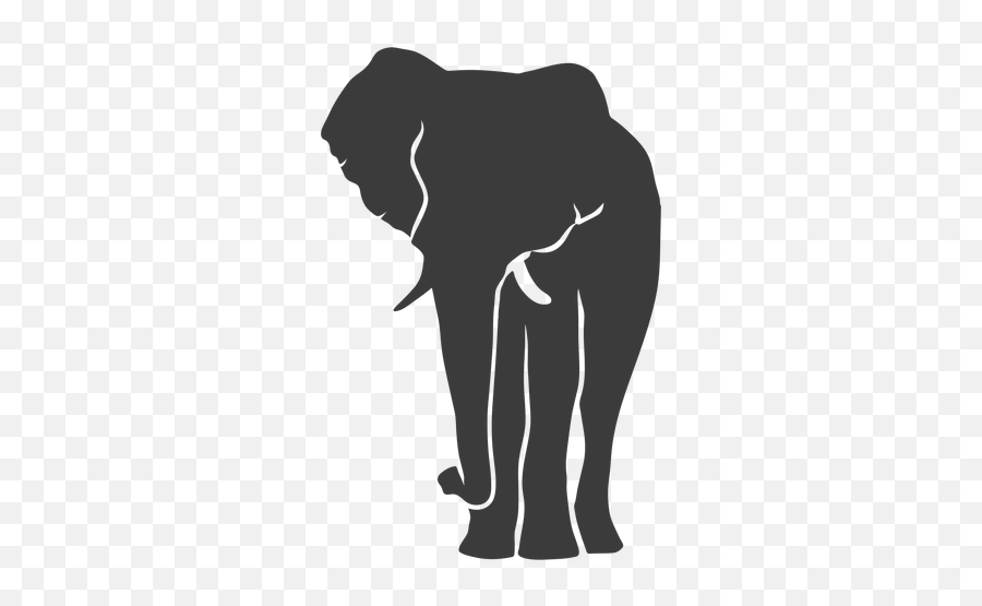 Elephant Ear Ivory Trunk Silhouette - La Silueta De Un Elefante Png,Elephant Silhouette Png