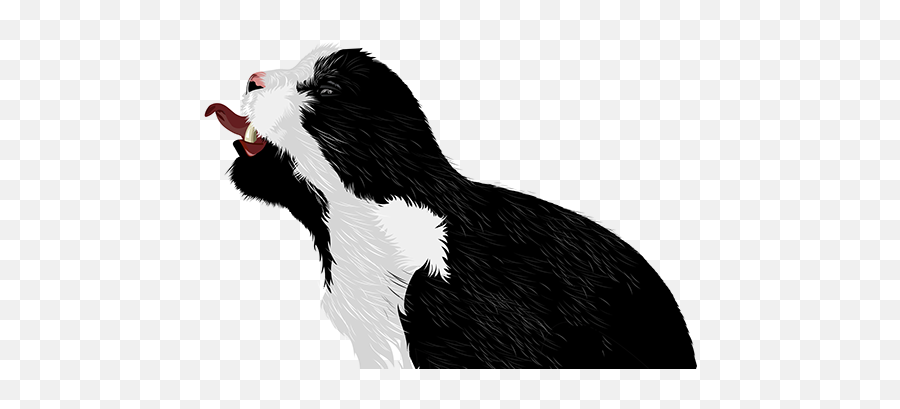 Vector Dog - Mustelids Png,Illustrator Icon Vector