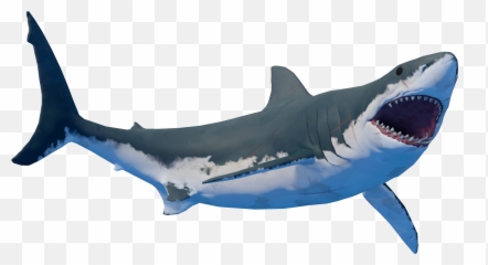 Bruce Raft Wiki Fandom - Raft Bruce The Shark Png,Raft Png