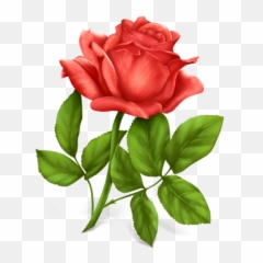 Red Rose Png Image - Png Flower Photo Download,Red Rose Png