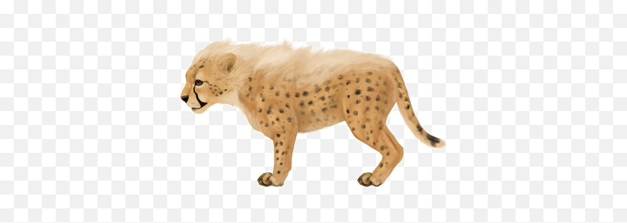 Download Baby Jaguar Png Image - Cheetah Drawing Small,Jaguar Png