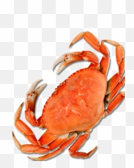 Mr Crabs Png - Crab Leg Top View,Crabs Png