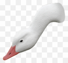 Goose Head Transparent U0026 Png Clipart Free Download - Ywd Mallard,Goose Png