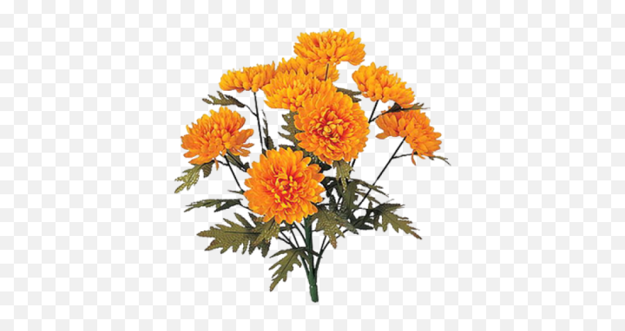 Marigold Icon Clipart - Chrysanthemum Flowers Png,Marigold Png