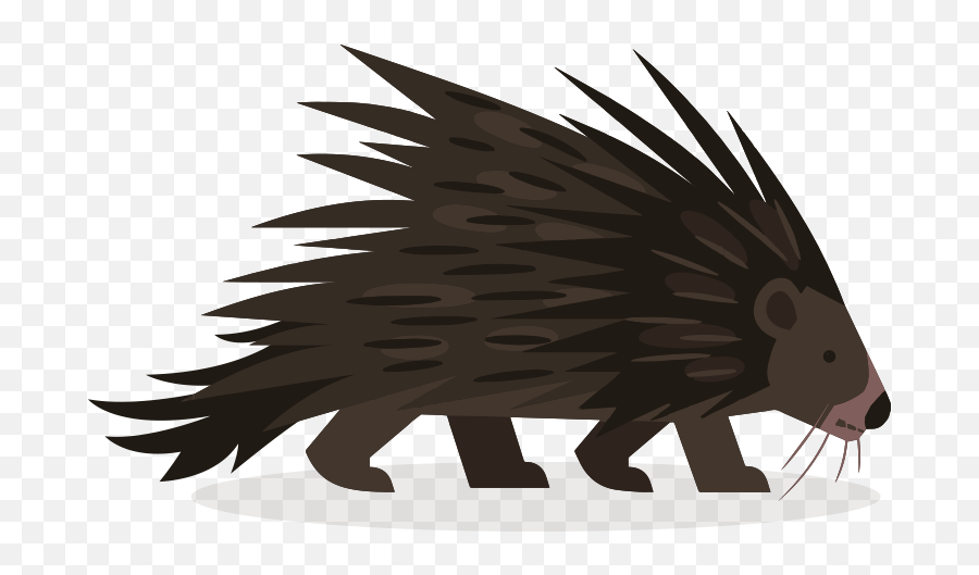 Hedgehog Clipart Tracks - Porcupine Clipart Png,Porcupine Png