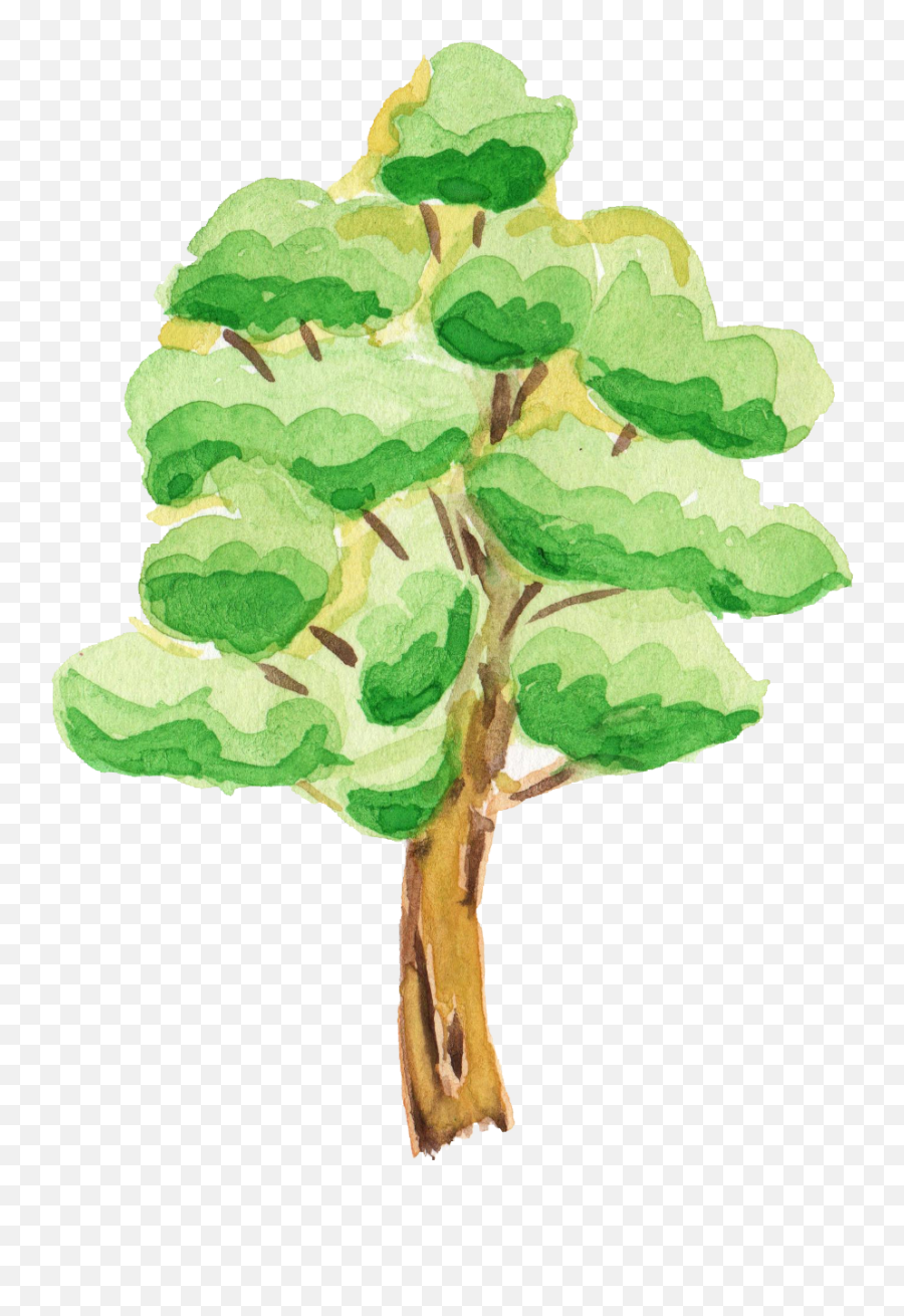 12 Watercolor Tree Transparent - Transparent Background Tree Cartoon Png,Watercolor Tree Png