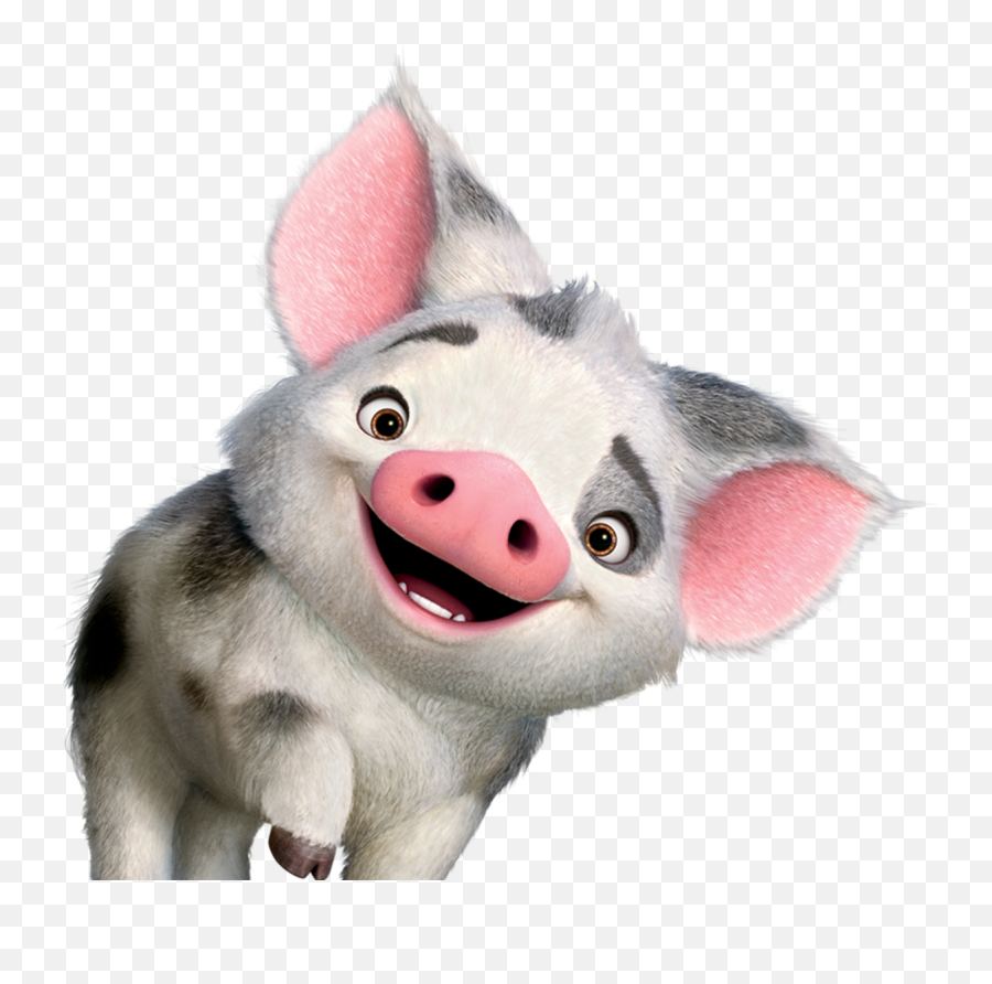 Disney Art - Moana Pig Png,Moana Transparent Background