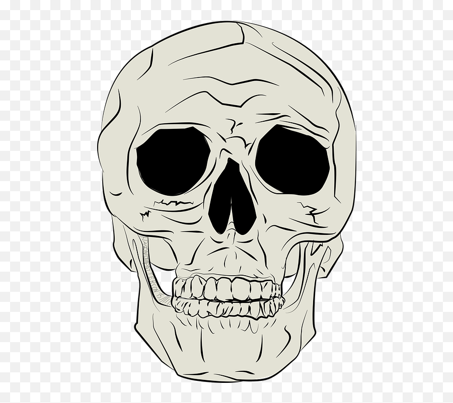 Body Horror Medical - Free Vector Graphic On Pixabay Gambar Ilustrasi Tengkorak Png,Skull Face Png