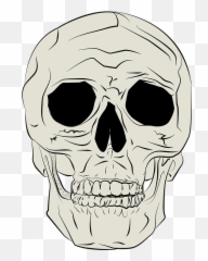 Body Horror Medical - Free Vector Graphic On Pixabay Gambar Ilustrasi Tengkorak Png,Skull Face Png
