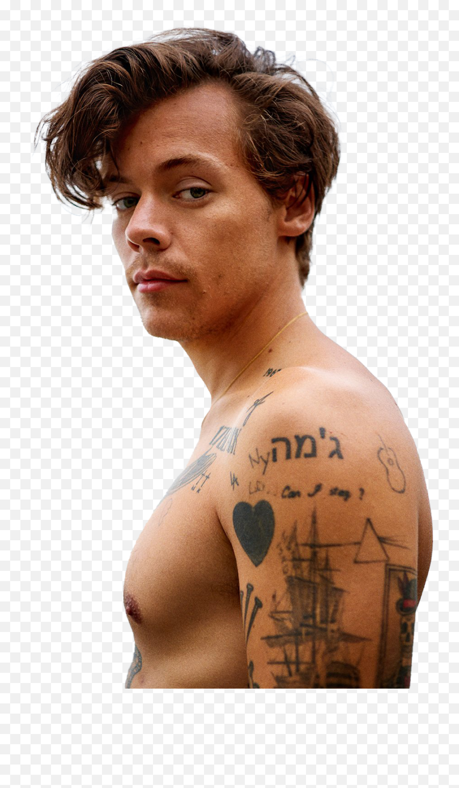 Singer Harry Styles Png - Harry Styles,Harry Styles Png