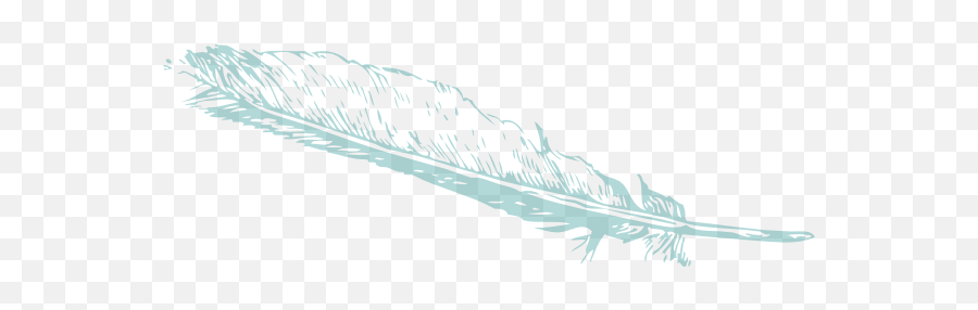 Download Feather Clipart Teal - Public Domain Feathers Drawing Png,Feather Drawing Png