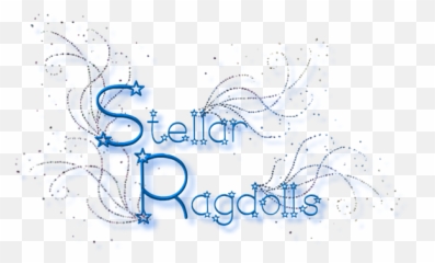 History Of The Ragdoll Cat - Dot Png,Ragdoll Logos