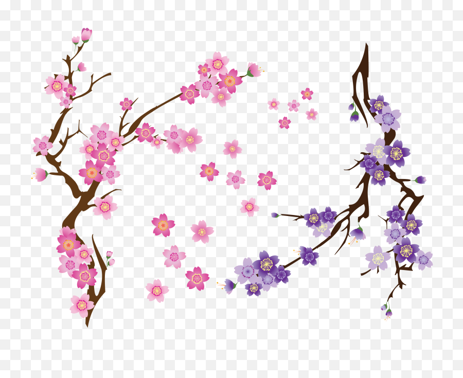Download Cherry Blossom Drawing Clip Art - Branch Of Cherry Vector Free Cherry Blossom Png,Cherry Blossom Branch Png